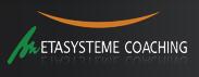 Cliquez sur le logo Metasysteme